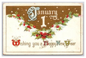 Wishing You Happy New Year Holly Gilt Jan 1 Embossed DB Postcard A16