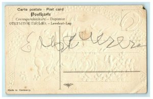 Anthropomorphic Elf Pig Wine c1910 New Year Embossed Luck Antique Postcard