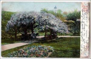 Public Garden, Boston MA