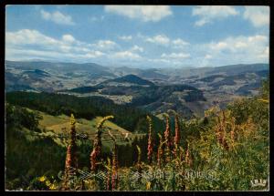 Les Vosges Pittoresques