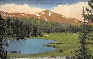 Bonny Lake, Wallowa National Forest Baker City, Oregon OR  