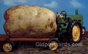 Idaho Potato Exaggeration 1958 