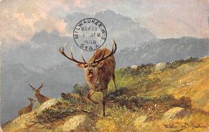 Buck Deer 1908 