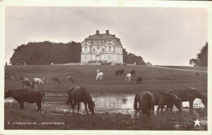 Denmark København Eremitagen Copenhagen RPPC 06.68