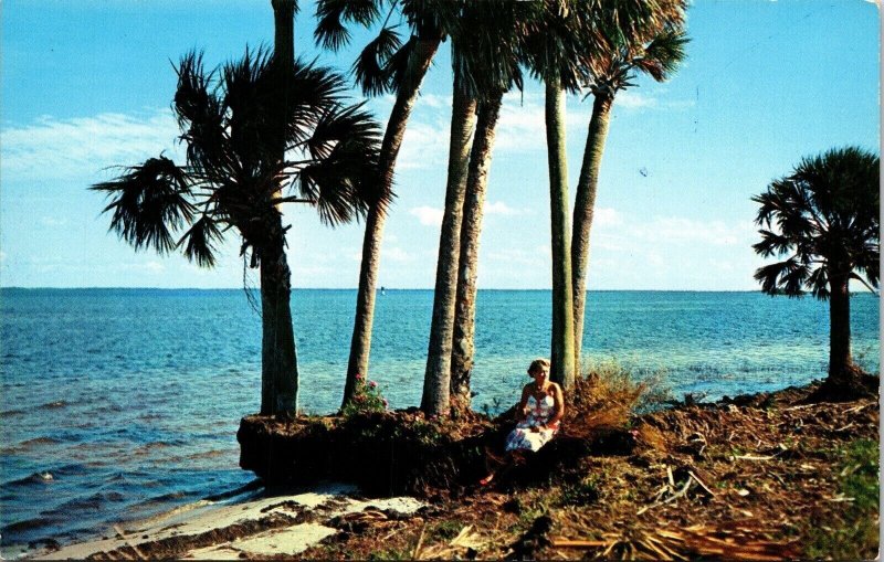 Florida Romantic River FL Palms Woman Postcard UNP VTG Koppel Unused Vintage 