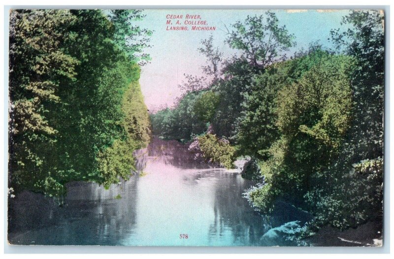 c1910's View Of Cedar River M A College Lansing Michigan MI Antique Postcard