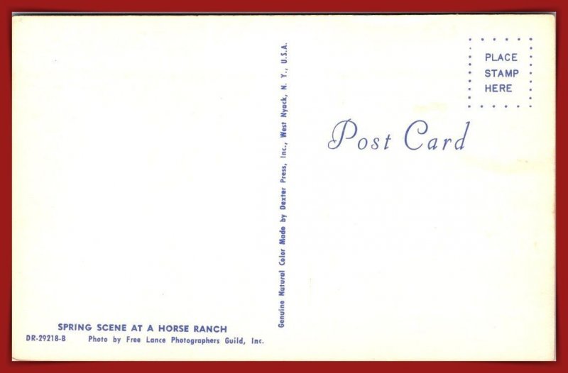 Spring Scene At A Horse Ranch - [MX-1156]