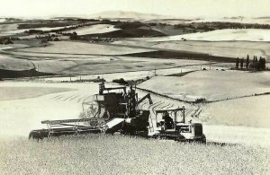 CE-341 ID Moscow Wheat Harvest Harvester RPPC Real Photo Postcard Kodak Idaho