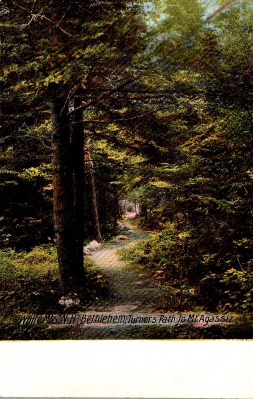 New Hampshire White Mountains Bethlehem Turner's Path To Mt Agassiz