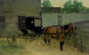 Horse and Buggy Parking Lot - Goshen, Indiana IN  