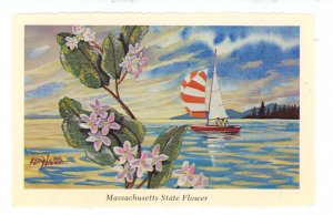 MA - Massachusetts State Flower (Mayflower)    Artist: Ken Haag