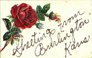 Greetings From Burlington Kansas Vintage Glitter Postcard Standard View Card 