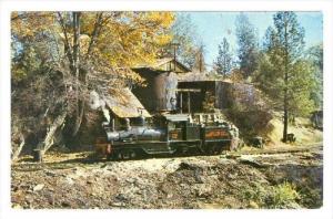 West Side &amp  Cherry Valley Ry., Sixty-Five Ton #12, 