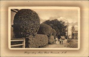 Yarmouth NS Nova Scotia Hedges on Main St. c1910 Postcard