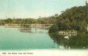 C-1910 Del Monte California Lake Swans Postcard PCk Series Koeber 1193