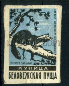 500648 USSR BELARUS marten Bialowieza Forest Old match label