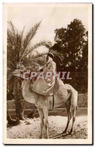 Algeria Old Postcard Scenes and Types A beautiful Camel (camel camel)