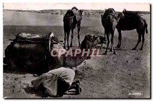 Old Postcard Morocco Scenes And Types of prayer in the desert Camel Camel
