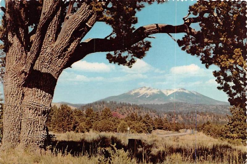 San Francisco Peaks - Arizona