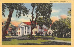 Lexington Kentucky 1940s Postcard Calumet Farm