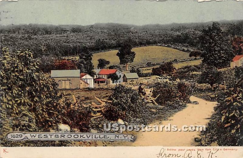 Road Scene Westbrookville NY 1907