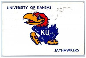 1961 University Of Kansas Jayhawkers School Campus Drawing Lawrence KS Postcard