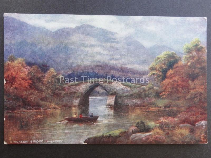 Ireland Co.Kerry KILLARNEY - BRICKEEN BRIDGE c1907 by Raphael Tuck 7260