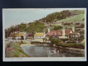 Dorset LULWORTH Duck Pond c1950's Postcard by Dearden & Wade