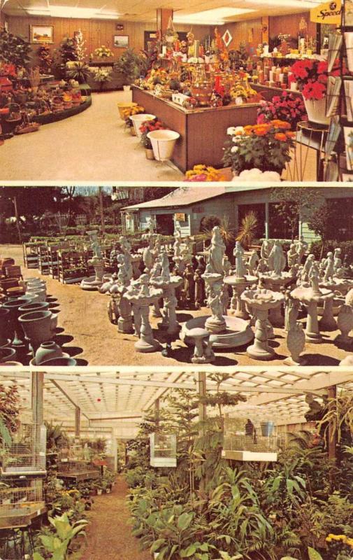 Laredo Texas Garden Center Flower Shop Vintage Postcard K89301