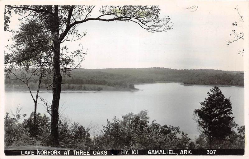 D73/ Gamaliel Arkansas AR Real Photo RPPC Postcard 50s Lake Norfork Three Oaks