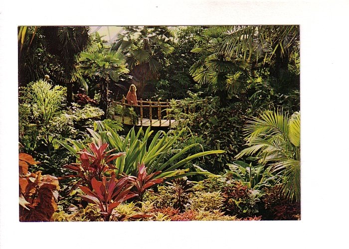 Cacti, Palms, Bloedel Conservatory, Vancouver British Columbia