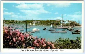 HARWICHPORT, Massachusetts MA   WYCHMERE HARBOR  ca 1960s  Postcard