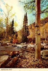 Utah Logan Canyon Bridgerland