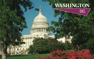 Postcard The Capitol Building Senate & House Of Representatives Washington DC