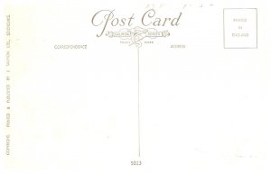 Horse , Plow Horses , Ducks, Barnyard