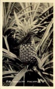 Pineapple Real Photo - Misc, Hawaii HI  