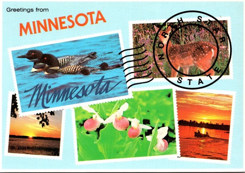 Minnesota St Paul Greetings From The North Star State Multi VIew