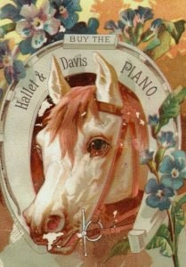 1880's Lovely Horseshoe Horse Hallet & Davis Piano Cleveland, OH Trade Card P102