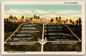 Vtg Murphy North Carolina NC Commandments Fields Of The Wood 1940s Postcard