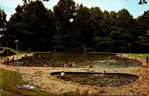 Georgia Pine Mountain Franklin D Roosevelt Park Swimming Pool