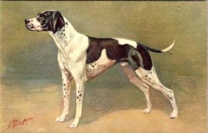 J Rivst ~  POINTER DOG  Artist Signed  STEHLI  Postcard