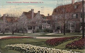 New York Rochester Tulips Portsmouth Terrace 1911