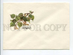 404507 USSR 1980 Kurtenko Flora small-leaved linden unused First Day COVER blank