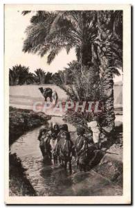 Algeria Constantine Old Postcard Biskra Children bathing in the Seugnia