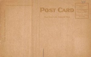 Riverside Park Toledo, Ohio OH Postcard