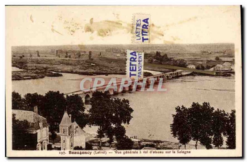 Old Postcard Beaugency Loiret General view of a bird flying over the Sologne