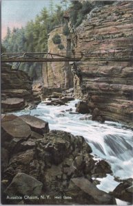 Ausable Chasm New York Hell Gate & Bridge