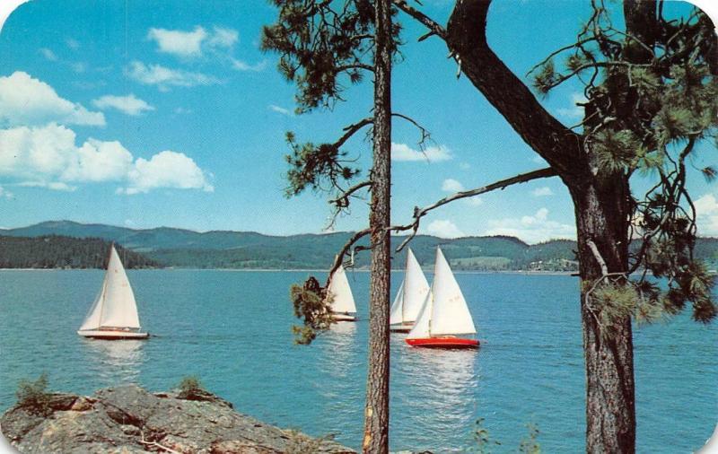 ID, Idaho  SAILBOATS on LAKE COEUR D'ALENE  c1960's Chrome Rounded Edge Postcard