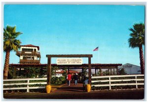 Welcome To Avalon's Airport In The Sky Catalina Island California CA Postcard