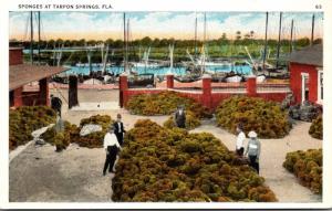 Florida Tarpon Springs Sponges On The Dock